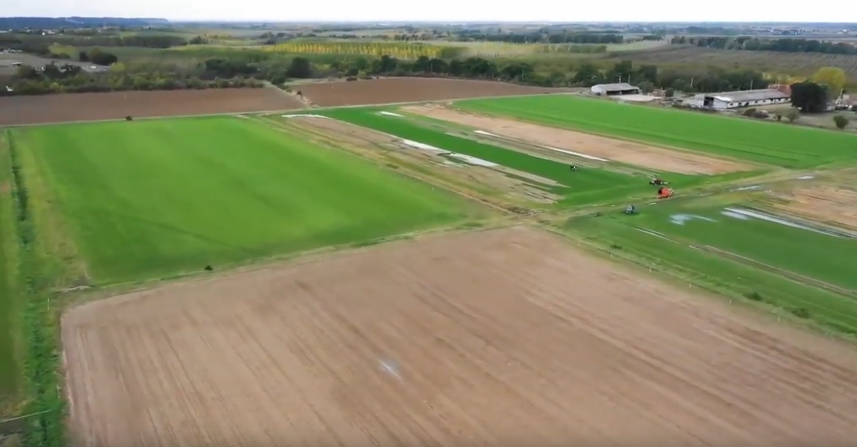 champs agricoles de Pescay Gazon dans le Tarn avec pelouses verdoyantes et parcelles rectilignes,