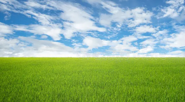 Purificateur de l’air